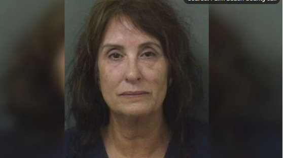 West Palm Beach Woman Charged with Animal Cruelty After Dog Dies in Hot Car at Marina