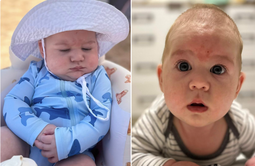 5-Month-Old Mauled to Death by Family Pet While Parents Were Out Celebrating