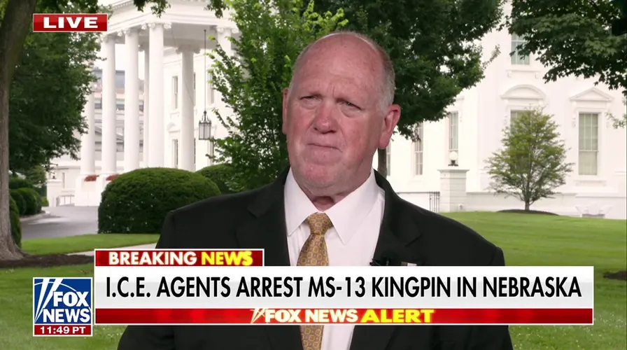 Trump Administration Arrests 'Worst of the Worst' Criminal Illegal Immigrants in Nationwide ICE Sweep