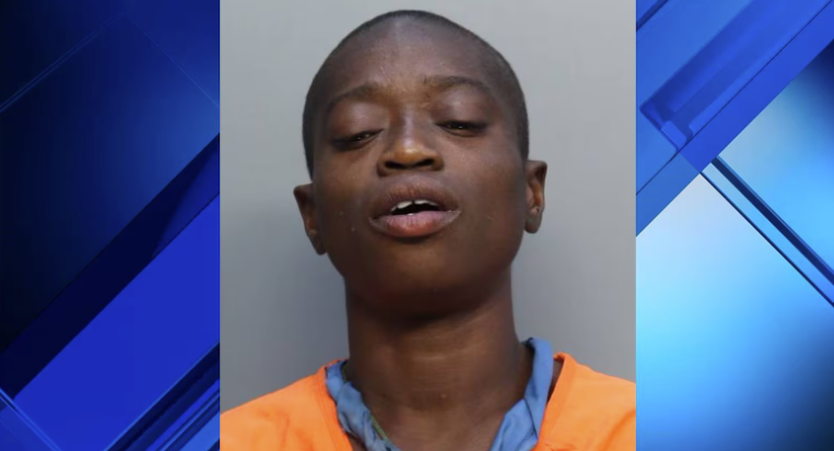 Miami woman accused of shoving 89-year-old out of wheelchair, robbing him in Brownsville
