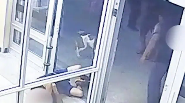 Florida Man Arrested After Brutal Sucker-Punch Outside Aldi Leaves Shopper in Coma