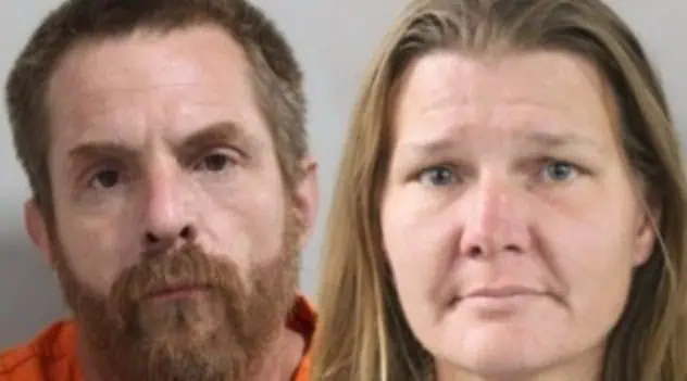 License Plate Shuffle Leads Deputies To Drugs And Stolen Osceola County Tag In Lakeland