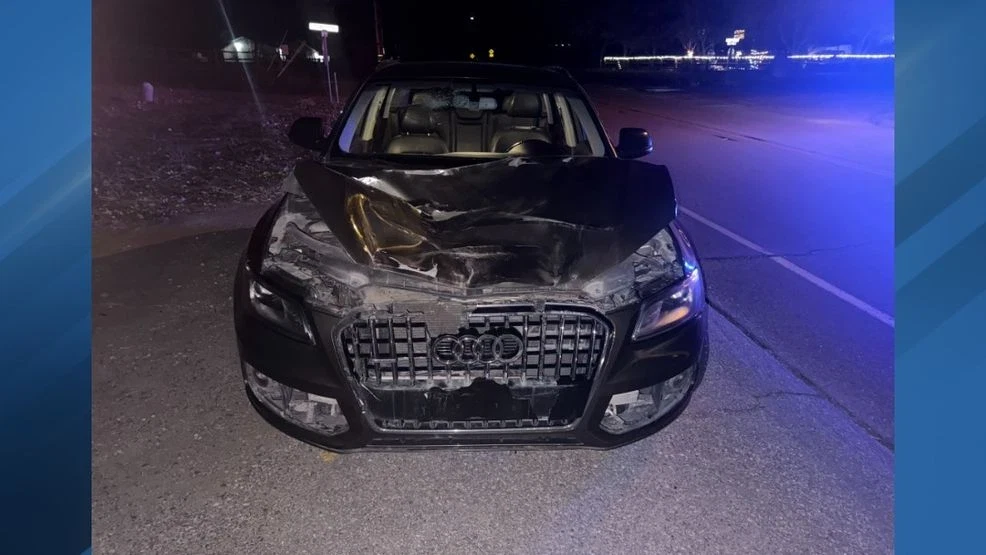 Bear Valley Police Urge Caution After Driver Hits and Kills Bull Elk