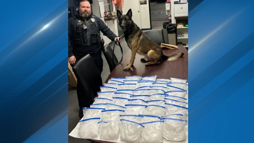 BPD K9 Liam Leads Officers to 51 Pounds of Meth During Traffic Stop on Ming Avenue