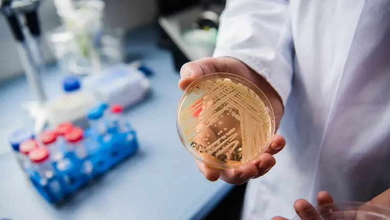 Deadly ‘Superbug’ Spreads Across the U.S. as Drug Resistance Intensifies, Researchers Warn