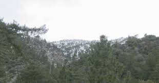 Guatemalan nationals identified as two additional Mt. Baldy hikers found dead